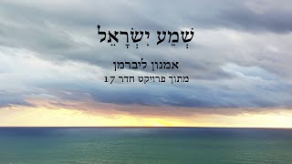 אמנון ליברמן-שמע ישראל- מתוך פרויקט חדר  17