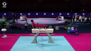 Hamlet MANUKYAN (ARM) - 2022 Artistic junior European silver medalist, pommel horse