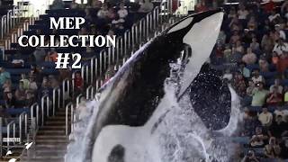 MEP Collection #2