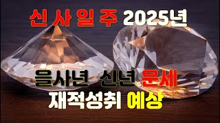 신사일주, 2025년 을사년 신년운세 사주분석