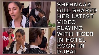 Shehnaaz Gill Shared Her Latest Video Playing With Tiger In Dubai #sidnaaz #shehnaazgill #dubai
