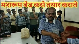 How to make bed for OYSTER #MUSHROOM part 1 धिंगरी आलिंबी बेड कसा तयार  करावा