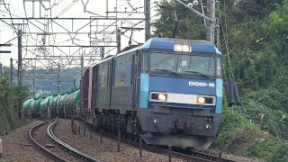 JR貨物EH200 19号機【ブルーサンダー】 中央線貨物列車83ﾚ 2020.11.6 撮影