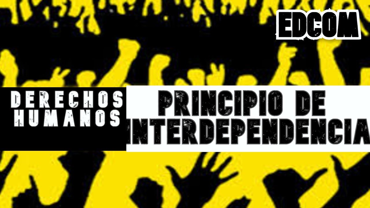 PRINCIPIOS DE LOS DERECHOS HUMANOS. INTERDEPENDENCIA, INDIVISIBILIDAD ...