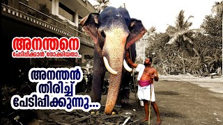 ootoly anandan | elephant playing with her instructor | ഊട്ടോളി അനന്തൻ