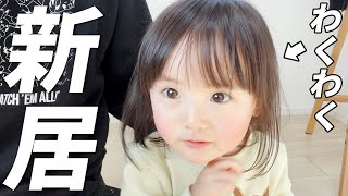 引っ越し！いたずら猫と2歳娘のリアクションは正反対でした😹