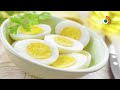 రోజు కోడి గుడ్డు తింటే మధుమేహం ముప్పు. health benefits and risk with daily eat egg 10tv