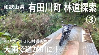 和歌山県 有田川町 林道探索③　GXS150バンディット 2024年11月