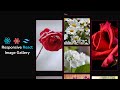 React Image Gallery Tutorial 2025: Tailwind CSS + TanStack Query (For Beginners)