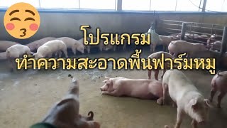 โปรแกรมทำความสะอาดฟาร์มหมู