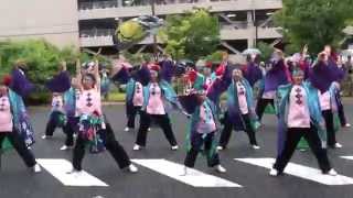 夢天翔２０１４　おどるんや！紀州よさこい　モンティグレ演舞場