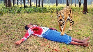 Tiger attack man in the forest | Fun mode movie by crazy life entertainment