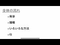 【超入門】0から知る田んぼの１年 ~第3話 育苗~