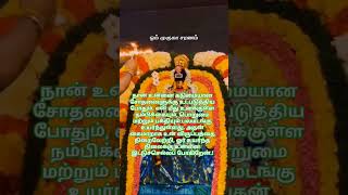 ஓம் முருகா🙏🏻#lordmuruga#tamil #tamilkadavul#motivation#bakthitv#murugan #கந்தர்அநுபூதி#கந்தர்#om#tv