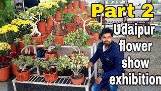 Winter flower show exhibition Part 2 ||Udaipur || Garden Ideas