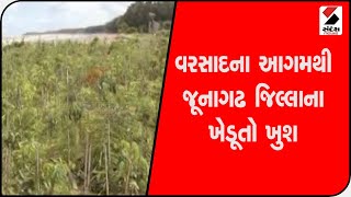 વરસાદના આગમથી Junagadh જિલ્લાના ખેડૂતો ખુશ@SandeshNewsTV