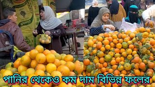 মিশরে এক কেজি মালটার দাম ২২ টাকা তিন কেজি একসাথে নিলে ৫৫টাকা কমলার দাম ও ঠিক একই রকম  ।