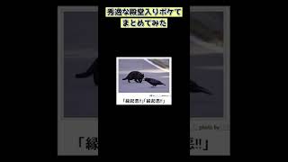 一瞬で笑える爆笑ボケてにアフレコしてみた13　#short