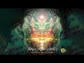 psychill magical visions 2 compiled by mystical voyager full album