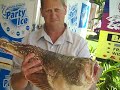 catch gallery stargazer from the maroochy river mouth 27 09 2012