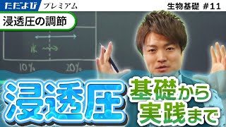 浸透圧の調節【生物基礎】#11