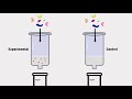 pull down assay protocol