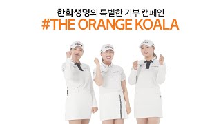 한화생명 #TheOrangeKoala 캠페인 응원메시지