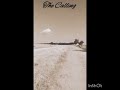 The Calling..