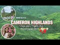 Our Trip in Cameron Highlands - 5 Best Places to Visit in Cameron Highlands Travel Guide | Malaysia