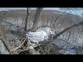 dulles greenway eagle cam 4k