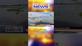 Flash News 31 ส.ค. 2567 “นนทบุรี” ชาวบ้านริมแม่น้ำเจ้าพระยา ยกของหนีน้ำ