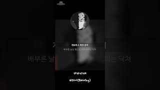 [가라사대 - 비와이(BeWhy) Verse] 국힙의 중심이 나일지어다