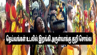 அருள்வாக்கு குறி சொல்ல | மாந்திரீகம் | வசியம் | மந்திரம் | தாந்திரீகம் | arulvakku kuri | mantrigam