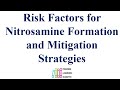 Risk Factors for Nitrosamine Formation and Mitigation Strategies