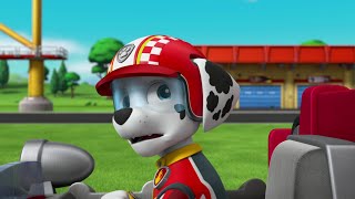 Marshall Asks Ryder If He's Rescued The Whoosh - Paw Patrol Ready Race Rescue 2019