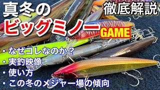 【冬のバス釣り】この冬メジャー場で何が起きたのか？ 今年の傾向と次の一手。【水の旅＃ １２０】