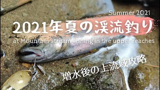 【渓流ルアー】増水後の上流域攻略｜夏の渓流釣り｜Stream fishing in the upper reaches of the river in summer 2021