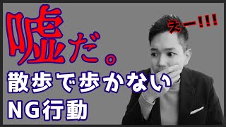 散歩を子犬が歩かない時の飼い主さんのNG行動とは？