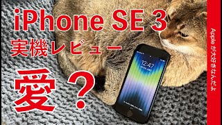 ホームボタンファンへの愛？新型 iPhone SE 第3世代：実機レビュー・5年はいけそう