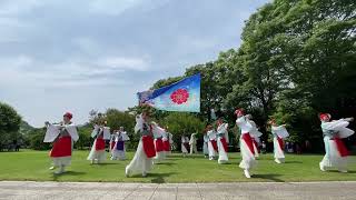 愛・彩媛　南楽園『花菖蒲まつり』　零