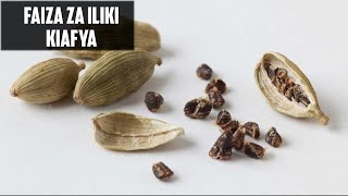 FAIDA ZA ILIKI MWILINI | FAIDA ZA ILIKI KIAFYA | TIBA ASILI YA ILIKI