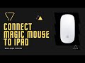 How to connect Magic Mouse to iPad!