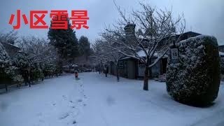 0137 万里雪飘。小区的雪景