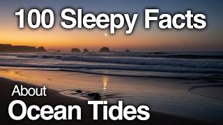 2 Hours of the Most Relaxing Ocean Tides Facts for Deep Sleep