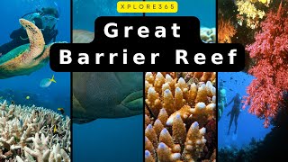 The Wonders of the Great Barrier Reef: A Stunning under water Journey