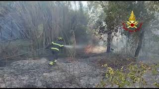 Incendio  fra Orte e Nera Montoro in provincia di Terni. Traffico ferroviario sospeso