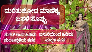 ಬಸಳೆ ಎಂಬ ಬಹುಮುಖ ಪ್ರತಿಭೆ : ಡಾ || ಸೌಮ್ಯಶ್ರೀ ಶರ್ಮ #healthyfood #basalla_alba #organic_vegetable