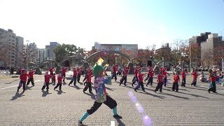 桜毘沙門天隊＆ピーマンサンバ隊 @四日市よさこい祭り(市民公園会場) 2018-11-25T11:45