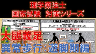 大腿義足の異常歩行【遊脚期編】　～No 121 理学療法士国家試験対策　シリーズ～