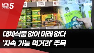 대체식품 없이는 미래도 없다…지속 가능 먹거리 찾는 식품사 / 머니투데이방송 (뉴스)